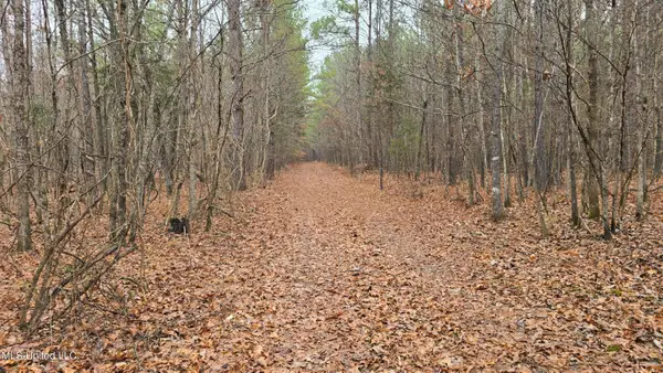 Brown Road, Starkville, MS 39759