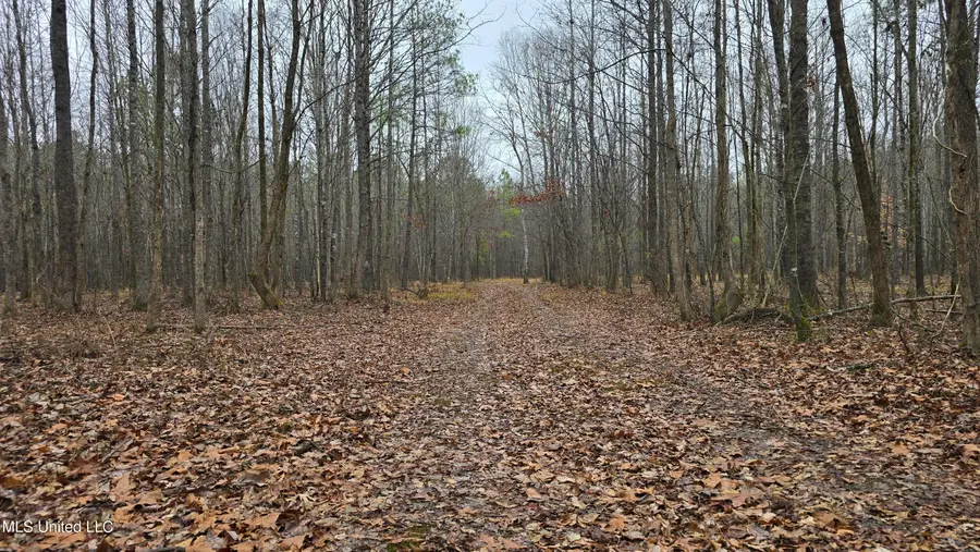 Brown Road, Starkville, MS 39759 - Image #2