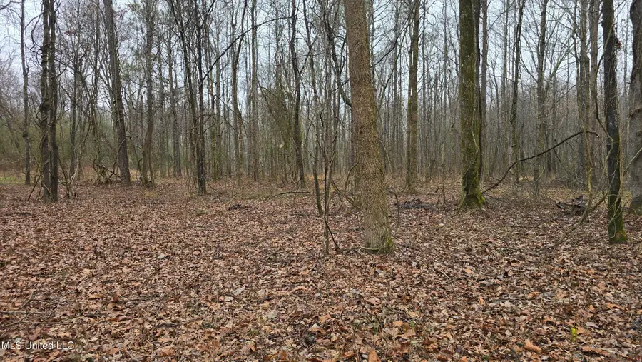 Brown Road, Starkville, MS 39759 - Image #3