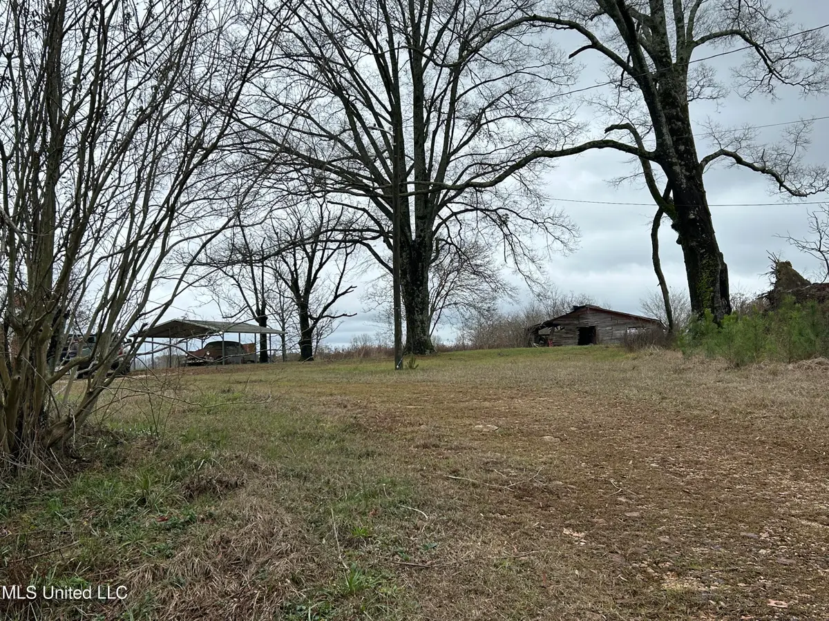 3677 Old Hillsboro Road, Forest, MS 39074 - Image #1