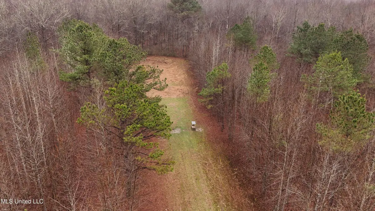 Brown Road, Starkville, MS 39759 - Image #1