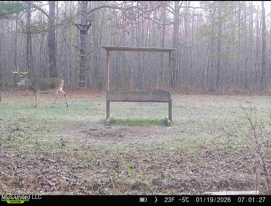 Brown Road, Starkville, MS 39759 - Image #2