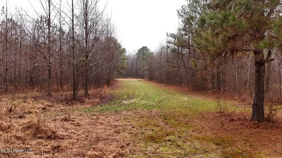 Brown Road, Starkville, MS 39759 - Image #3