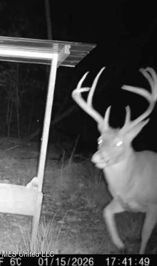 Sturgis Road, Louisville, MS 39339