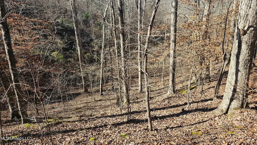 Sturgis Road, Louisville, MS 39339 - #2