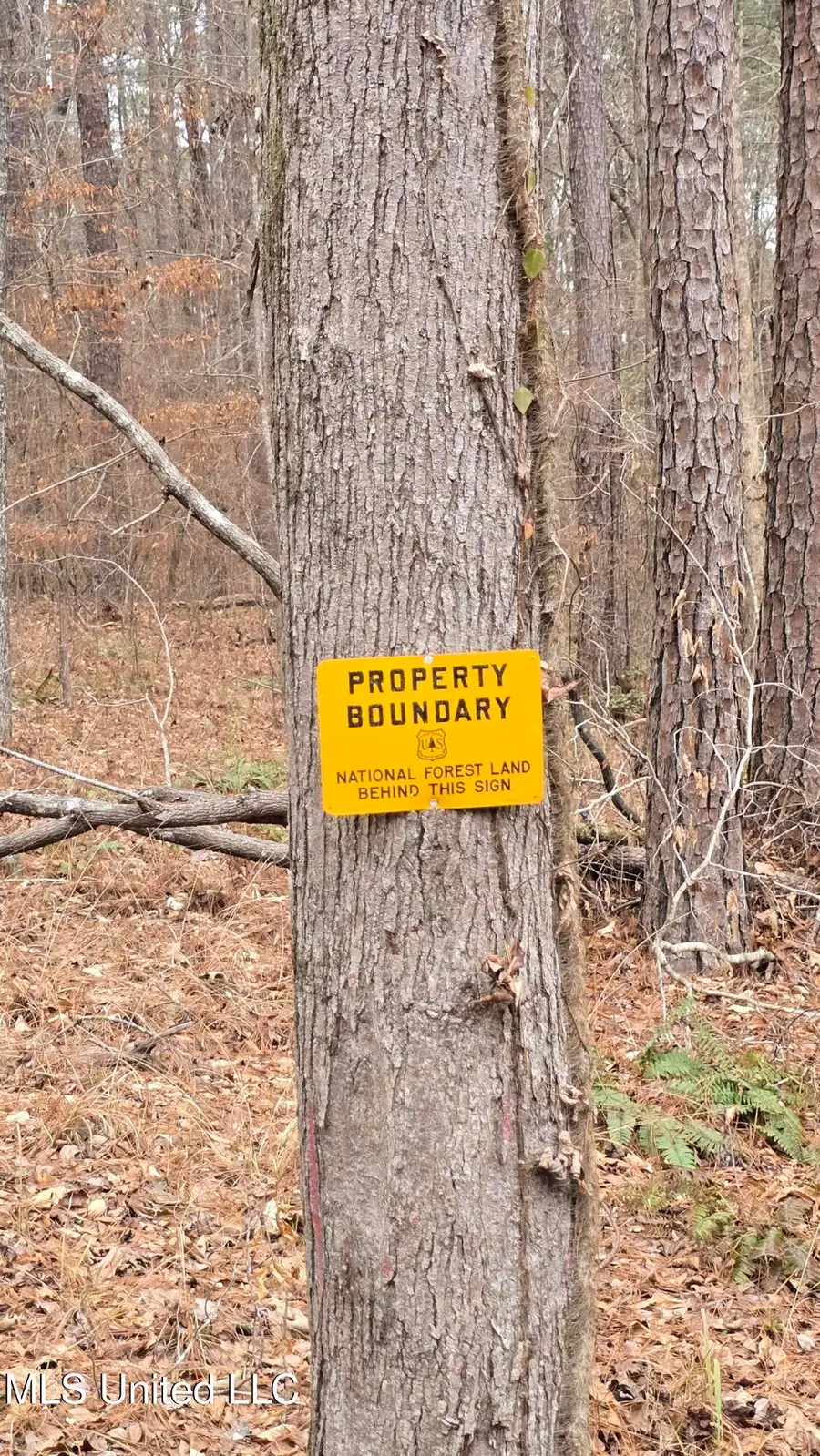 Sturgis Road, Louisville, MS 39339 - #3