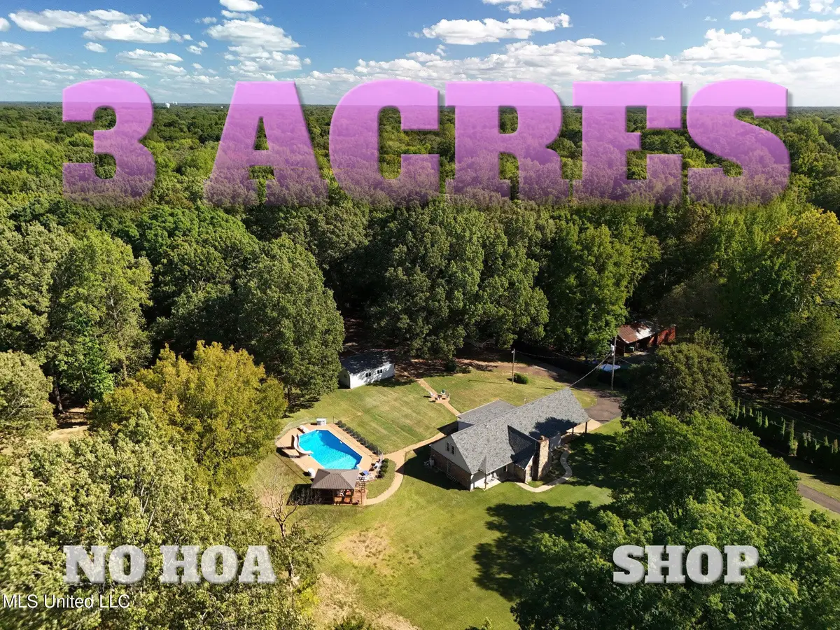 6650 Scenic Hollow Road, Walls, MS 38680 - #1