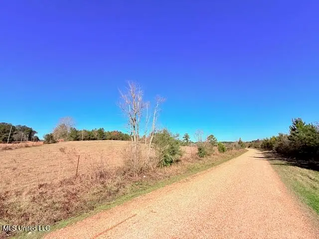 John Smith Road, Mount Hermon, LA 39518 - #3