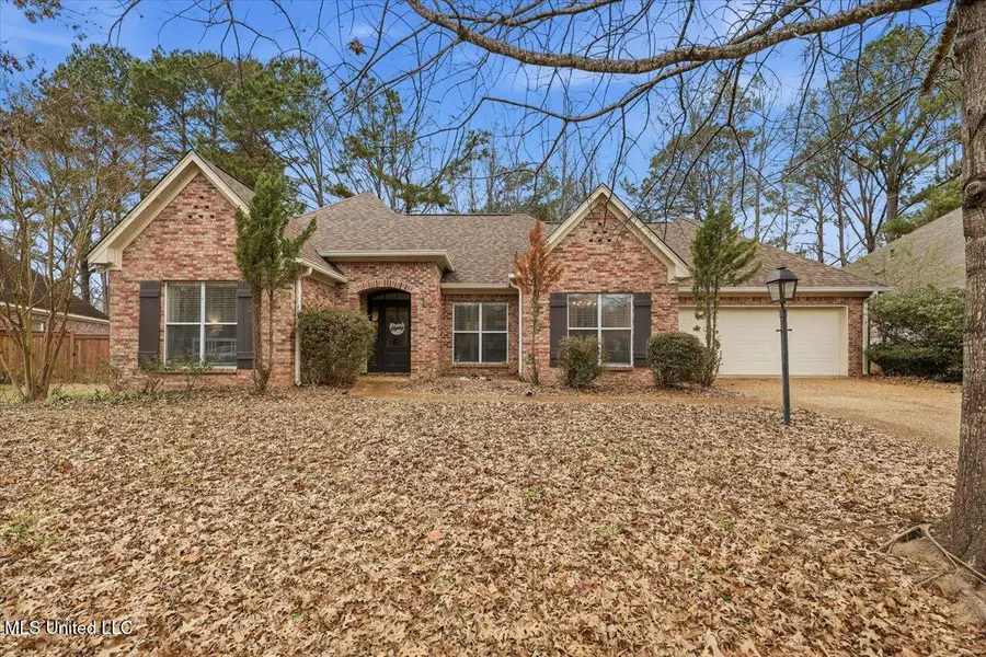 153 Baileys Ridge Circle, Clinton, MS 39056 - Image #2