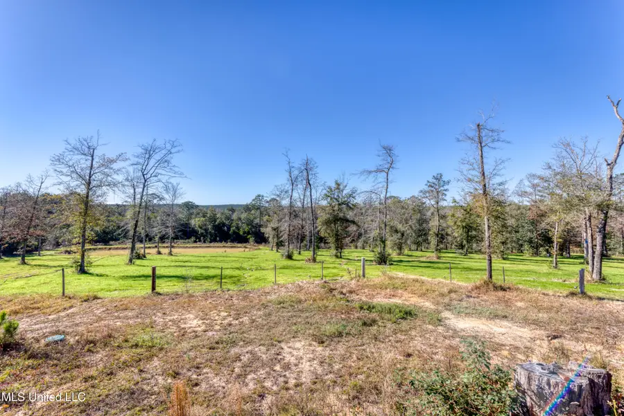 20915 Busby Road, Vancleave, MS 39565 - #3