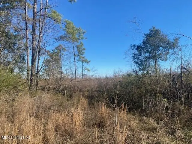 Wyatte-tyro Road, Senatobia, MS 38668 - Image #2