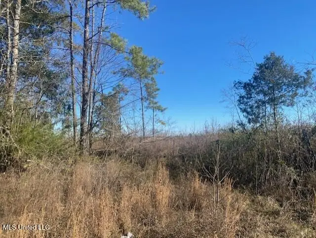 Wyatte-tyro Road, Senatobia, MS 38668 - Image #3