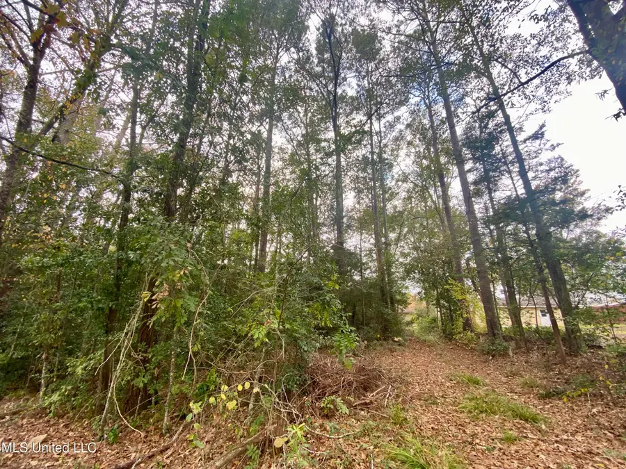 800 Jackson Avenue, McComb, MS 39648 - #2