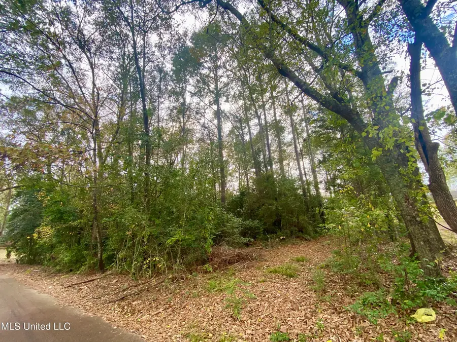 800 Jackson Avenue, McComb, MS 39648 - #3