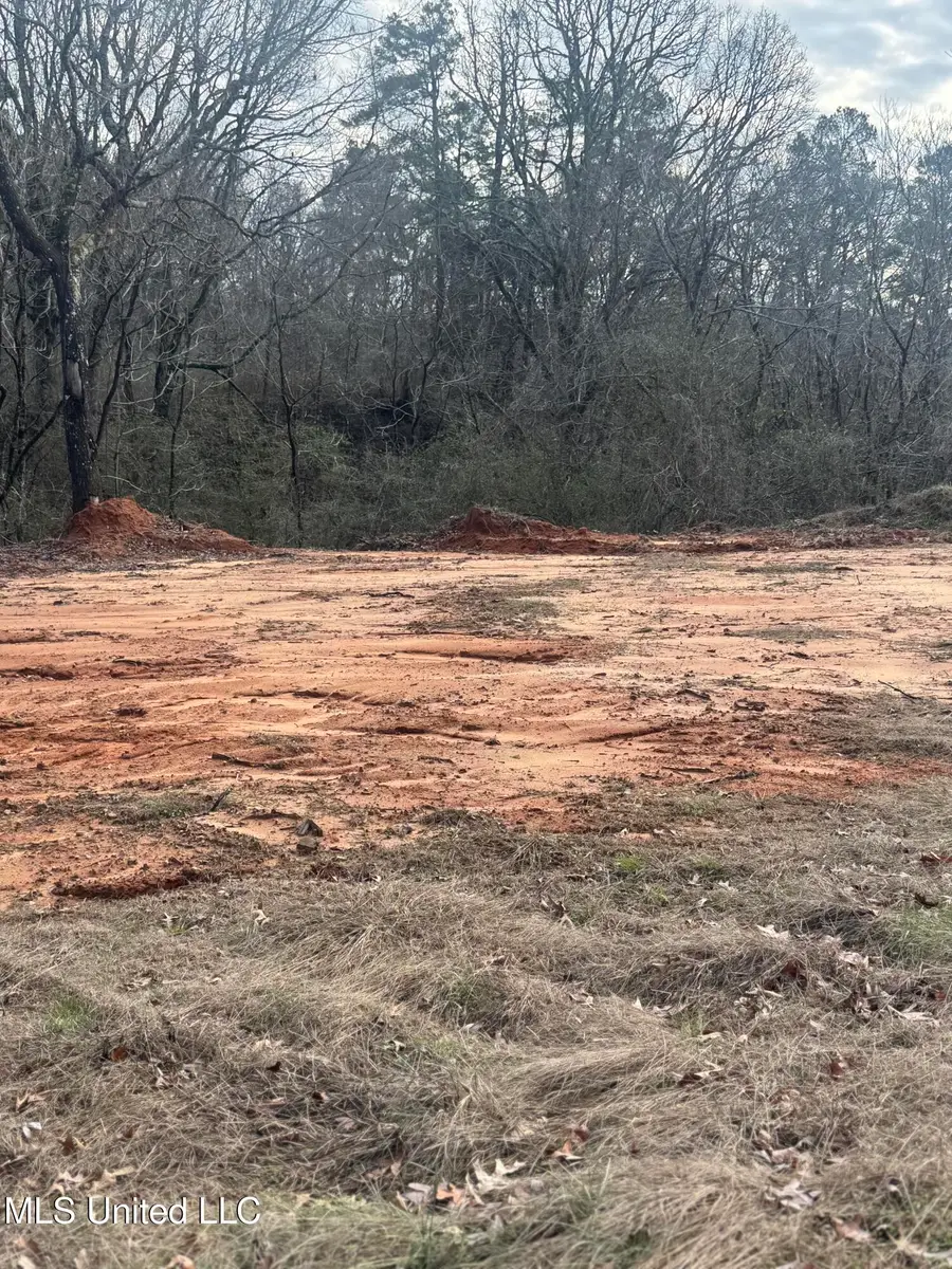 1761 Ms-7, Holly Springs, MS 38635 - #2