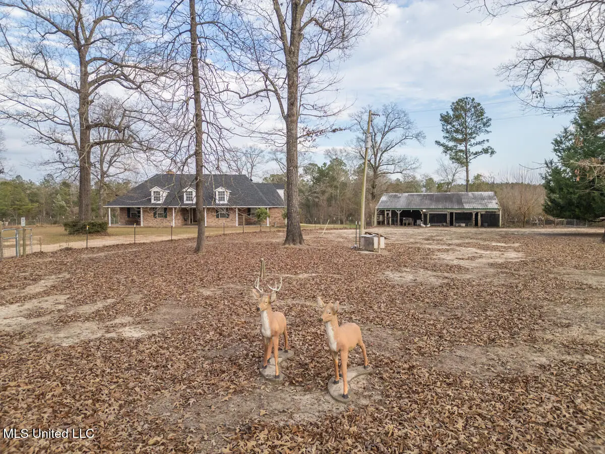 523 Dunnam Road, Leakesville, MS 39451 - Image #1