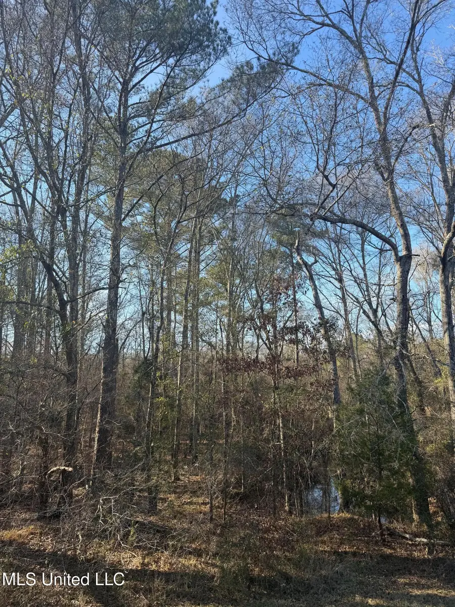 Off Of Saint Augustine Drive, Pearl, MS 39208 - Image #3