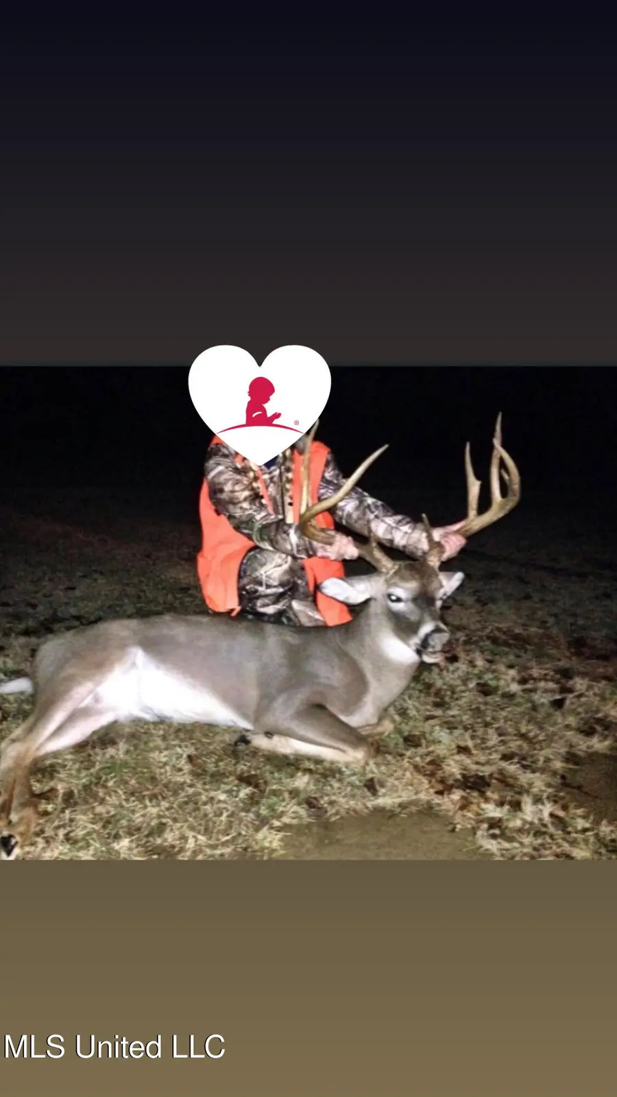 Ms-28, Hazlehurst, MS 39083 - #2