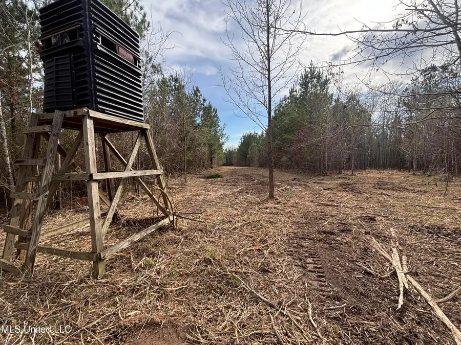 Ms-28, Hazlehurst, MS 39083 - #3