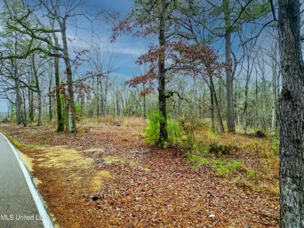 Mullican Road, Florence, MS 39073