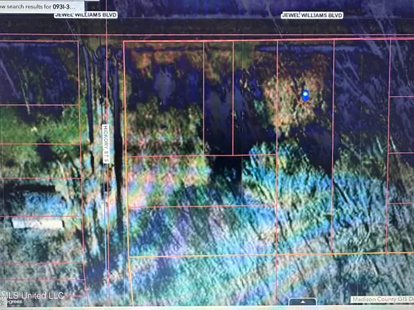 0 Jewell Williams Boulevard, Canton, MS 39046