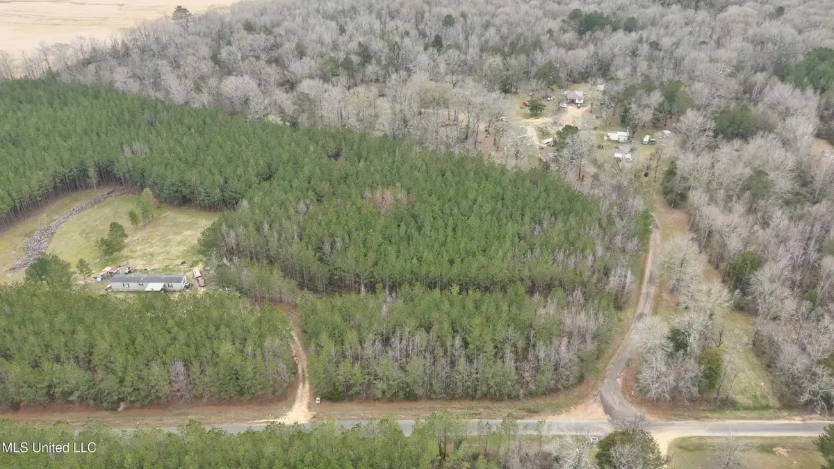 Anderson Road, Wesson, MS 39191 - Image #1