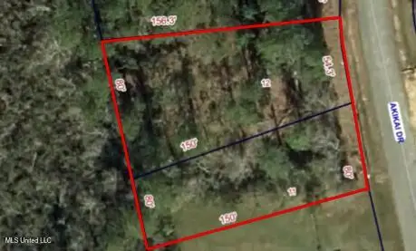 Akikai Drive, Diamondhead, MS 39525