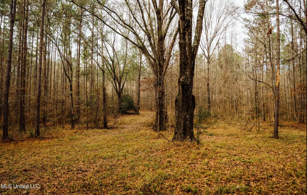 0 Warren Hood Road, Hermanville, MS 39086 - #1