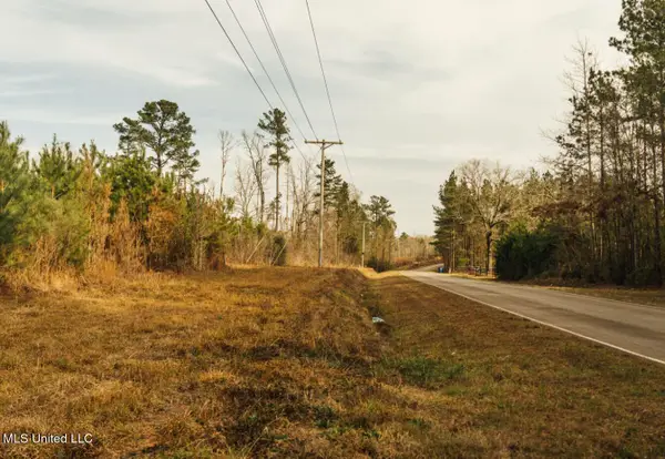 Tbd SW Arlington Drive, Bogue Chitto, MS 39629