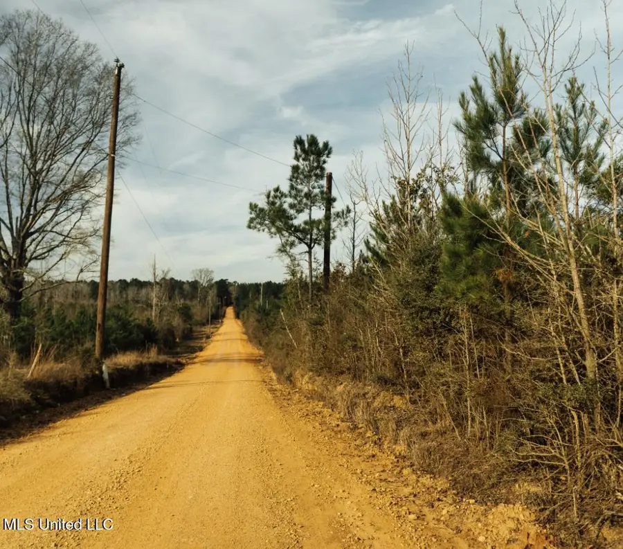 Tbd SW Arlington Drive, Bogue Chitto, MS 39629 - Image #2