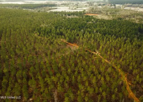 SW 00 Arlington Drive, Bogue Chitto, MS 39629