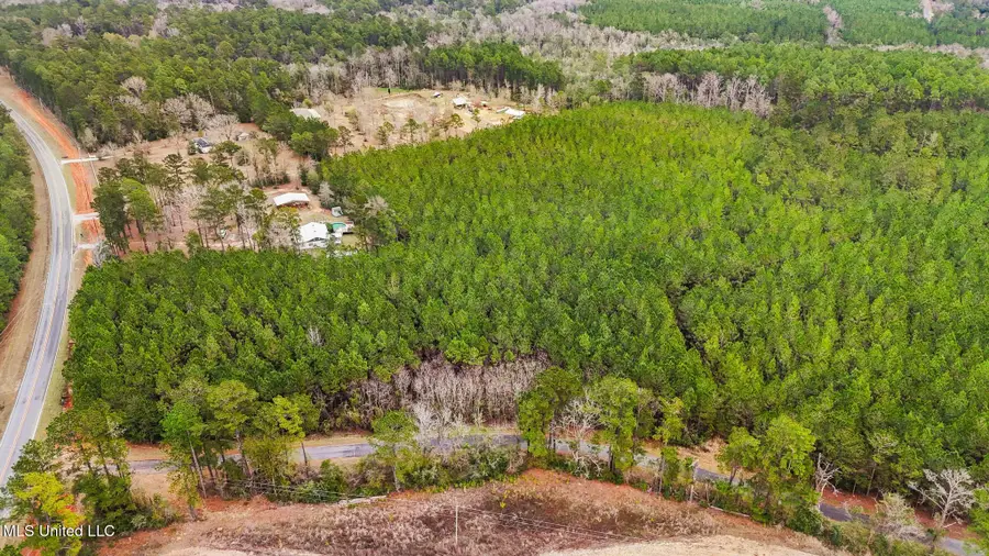 89ac Old Hwy 63n & Fork Rd, Lucedale, MS 39452 - #3