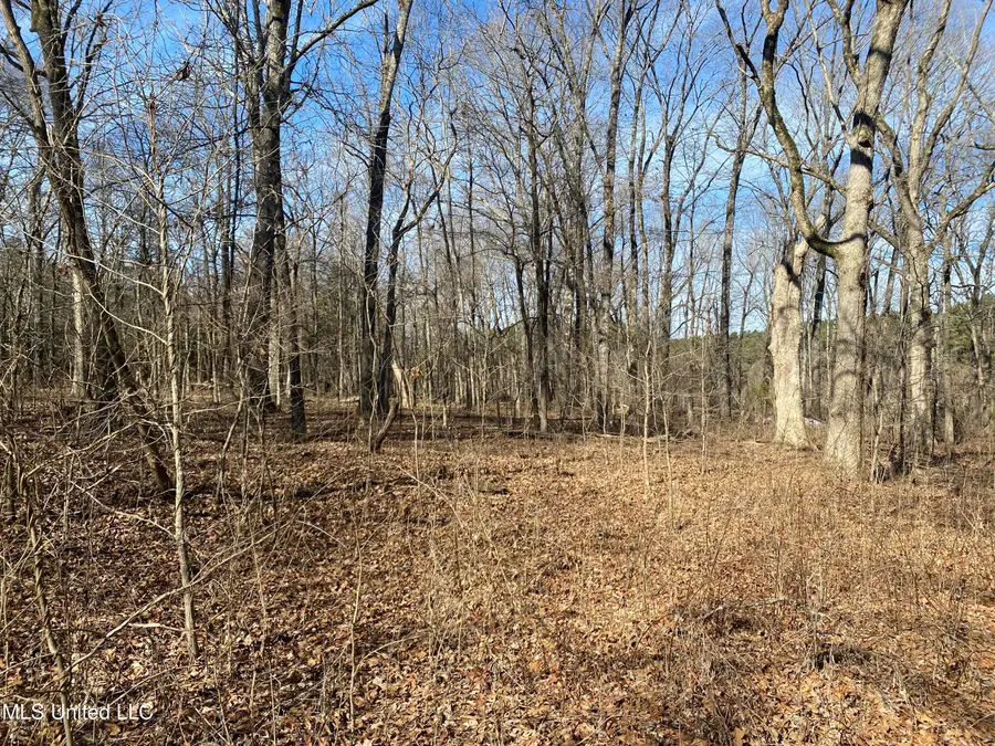 18 Acres Smart Road, Como, MS 38619 - #3