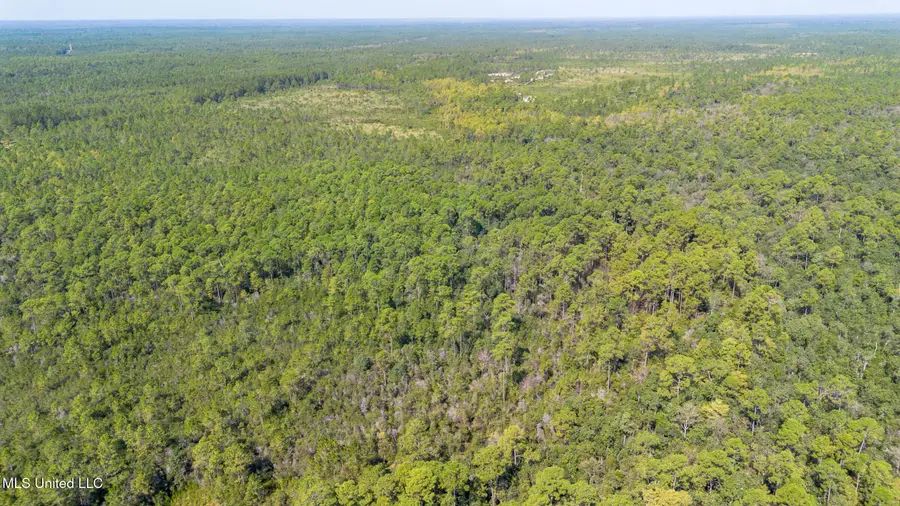 Grafe Homestead Road, Moss Point, MS 39562 - Image #2