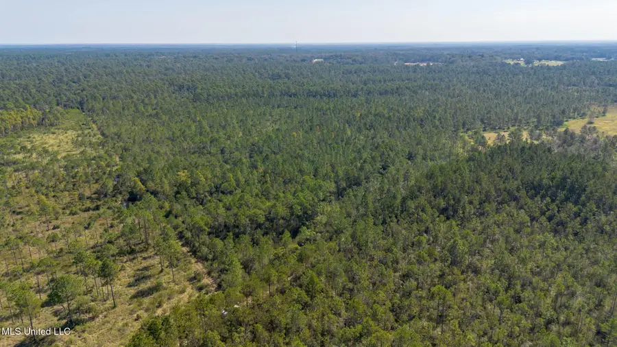 Grafe Homestead Road, Moss Point, MS 39562 - Image #3