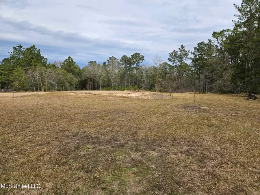 46 Presley Drive, Wiggins, MS 39577 - Image #2