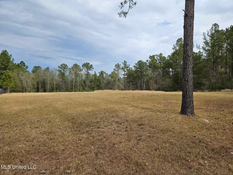 46 Presley Drive, Wiggins, MS 39577 - Image #3