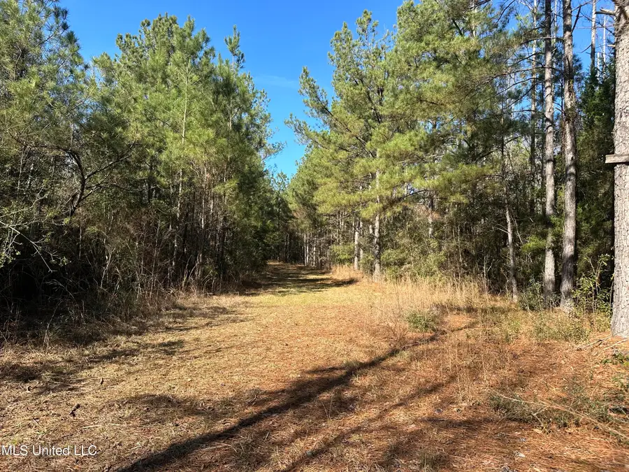 0000 Crooked Creek Road, Silver Creek, MS 39663 - Image #3