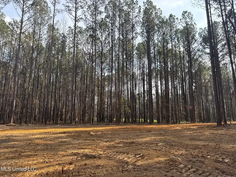 Robinson Road, Canton, MS 39046 - #2