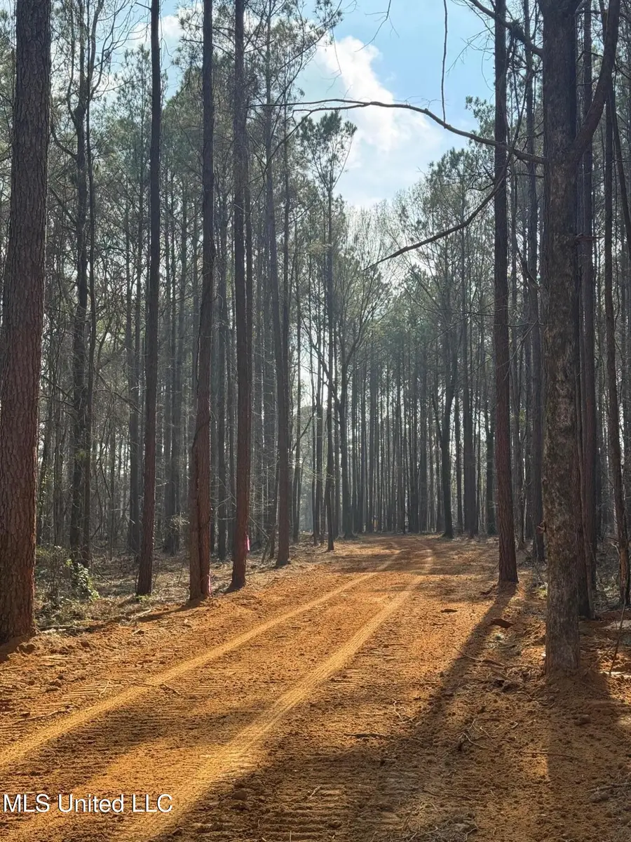 Robinson Road, Canton, MS 39046 - #3