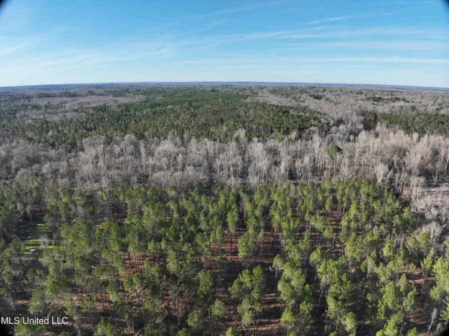 Byron Paul Lane, Crystal Springs, MS 39059 - Image #2