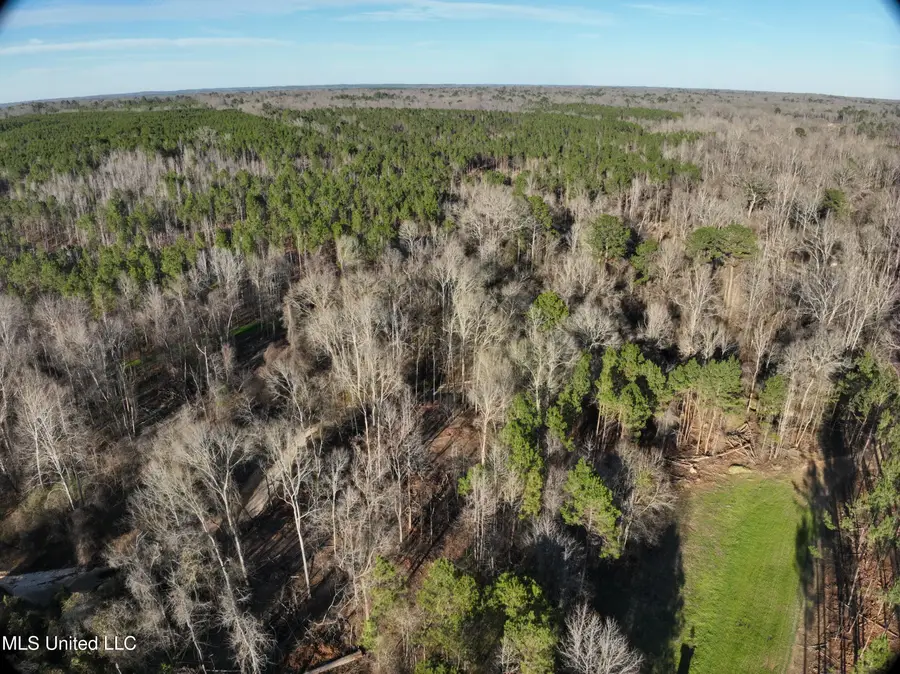 Byron Paul Lane, Crystal Springs, MS 39059 - Image #3