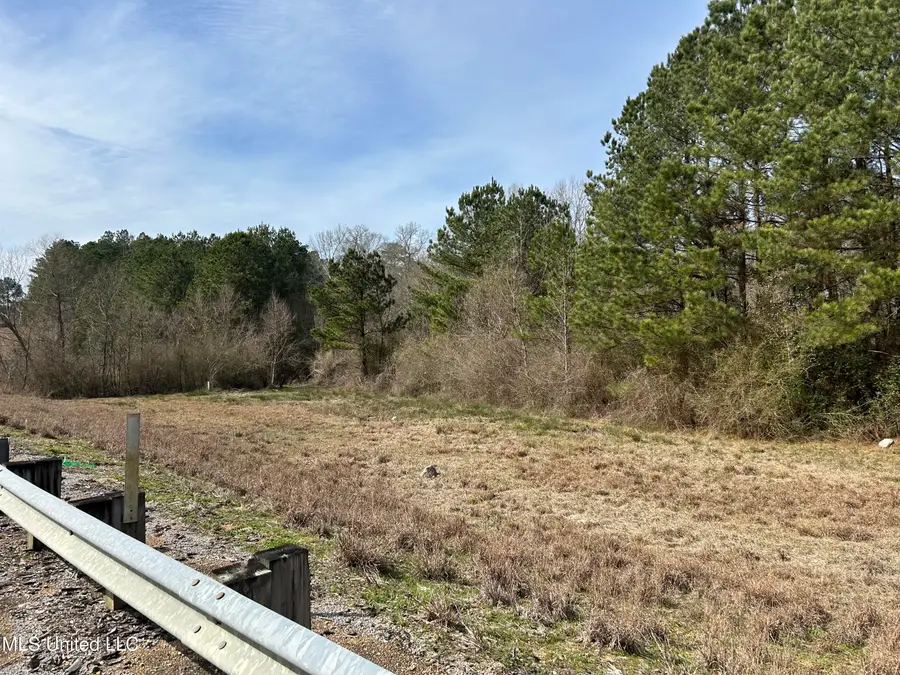 0 Hwy 569, Liberty, MS 39645 - Image #3