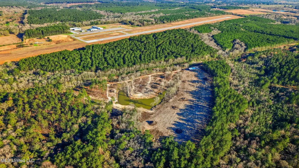 99 Firefox Lane, Poplarville, MS 39470 - #1