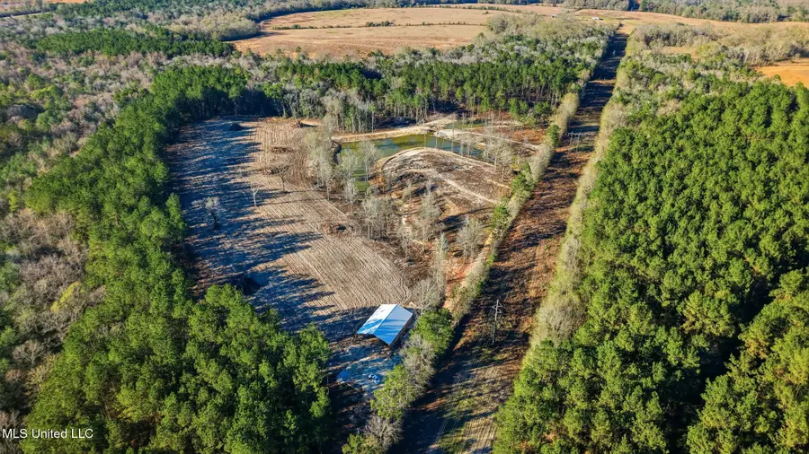 99 Firefox Lane, Poplarville, MS 39470 - #2