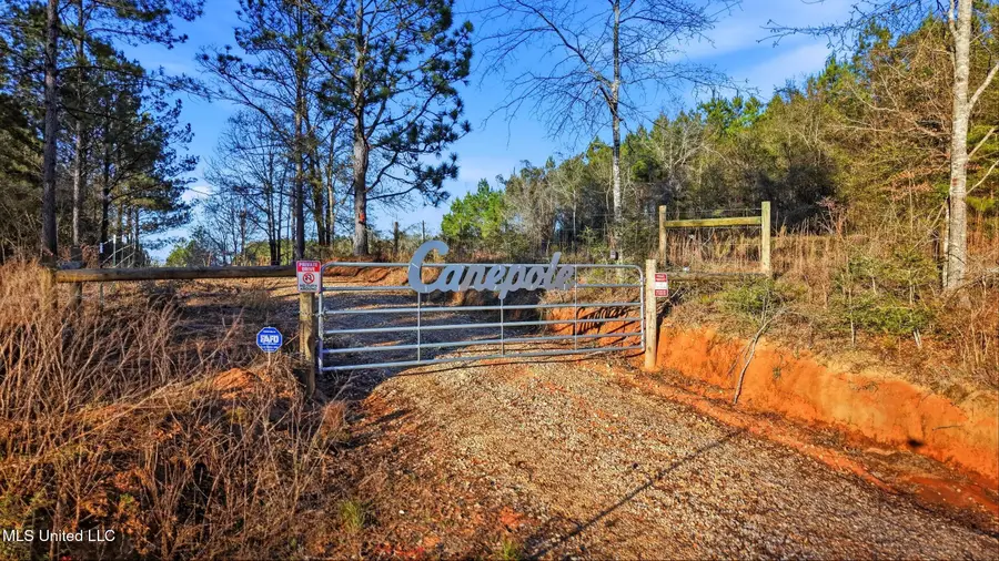 99 Firefox Lane, Poplarville, MS 39470 - #3