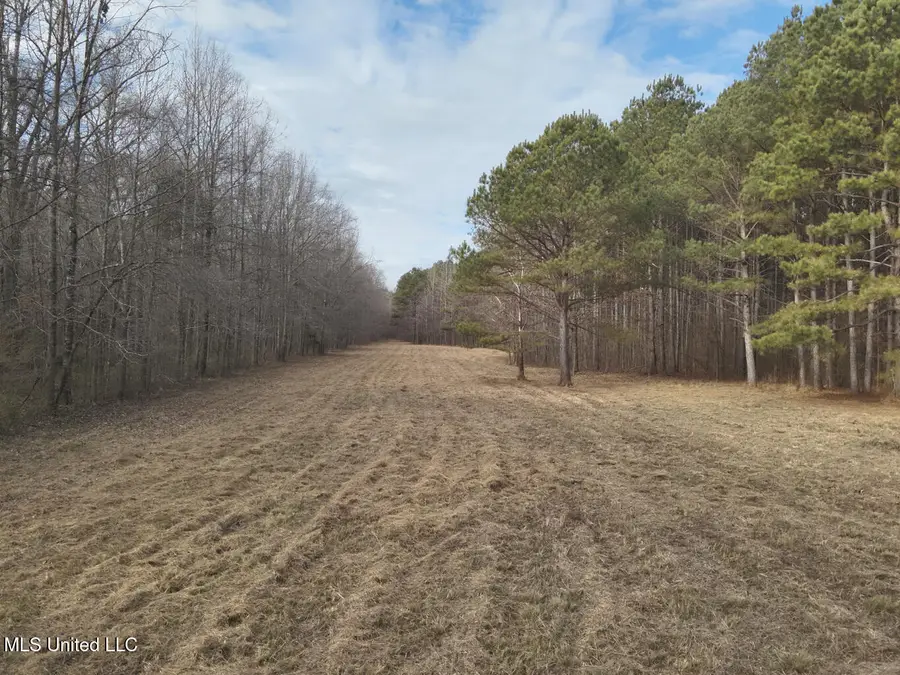 1356 Harrell Road Road, Maben, MS 39750 - Image #2