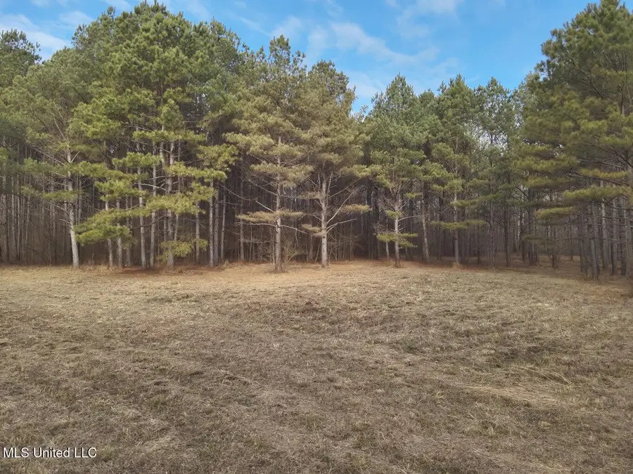 1356 Harrell Road Road, Maben, MS 39750 - Image #3