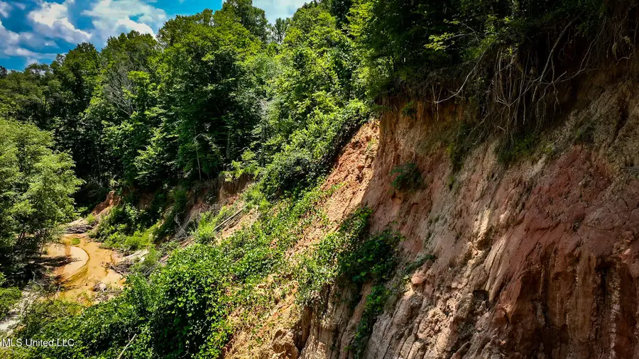 2360 Sullivan Road, Meadville, MS 39653 - #2