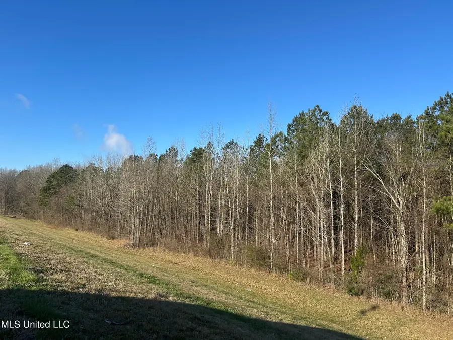 123 N Livingston Road, Jackson, MS 39213 - Image #3